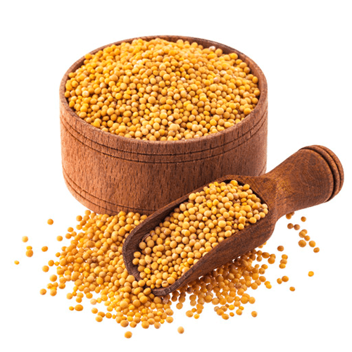 Yellow Mustard Seeds Vidhata Impex