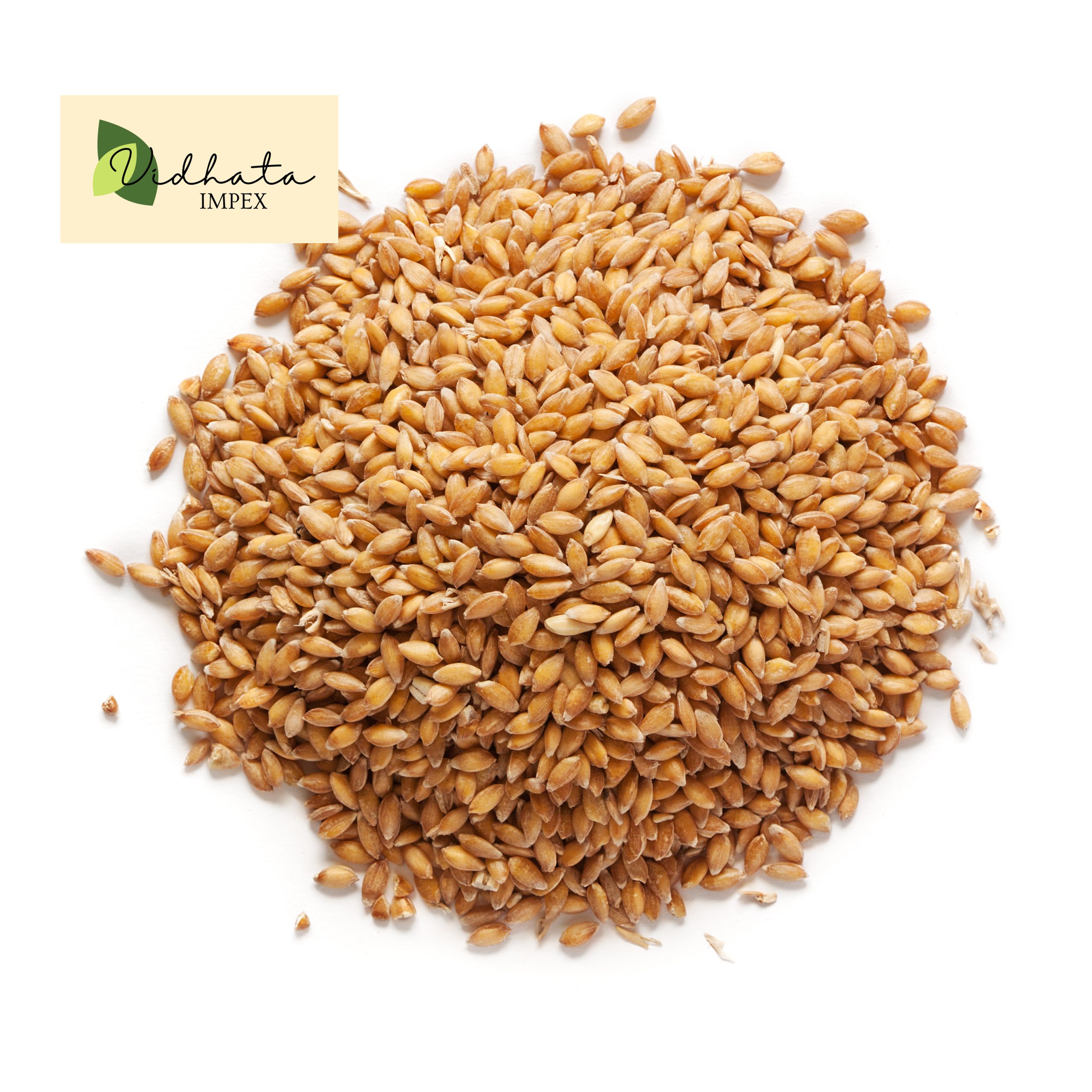 Grain,Of,The,Wheat,On,A,White,Background