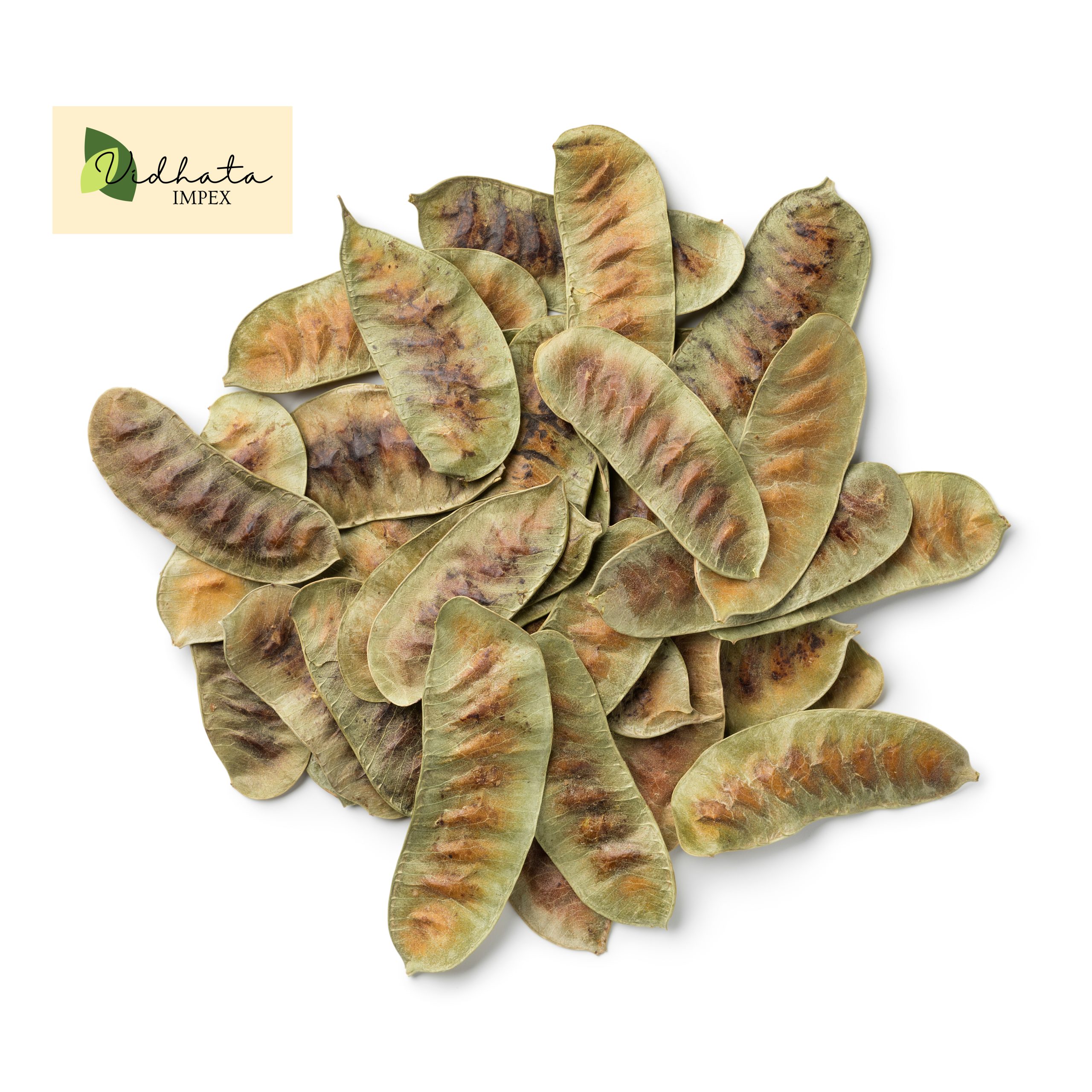 Heap,Of,Senna,Alexandrina,Pods,Isolated,On,White,Background